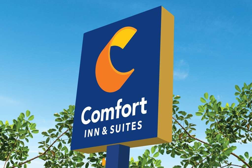 Comfort Inn & Suites High Point - Archdale Екстер'єр фото